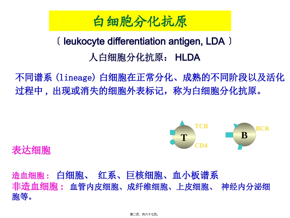 Lecture8-白细胞分化抗原和黏附分子_第2页