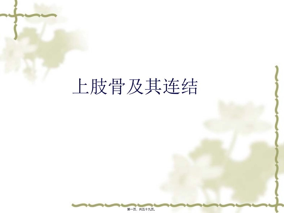 上肢骨及其连结下肢骨及其连结 医学教学课件_第1页