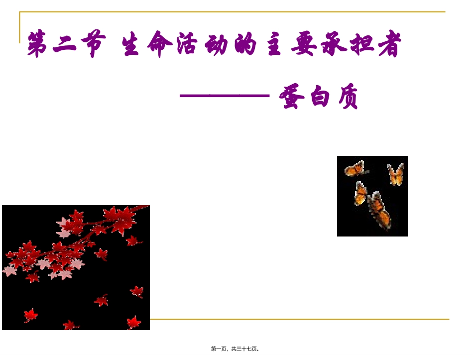 培训课件 生命活动的主要承担者——蛋白质_第1页