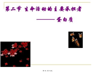 培训课件 生命活动的主要承担者——蛋白质