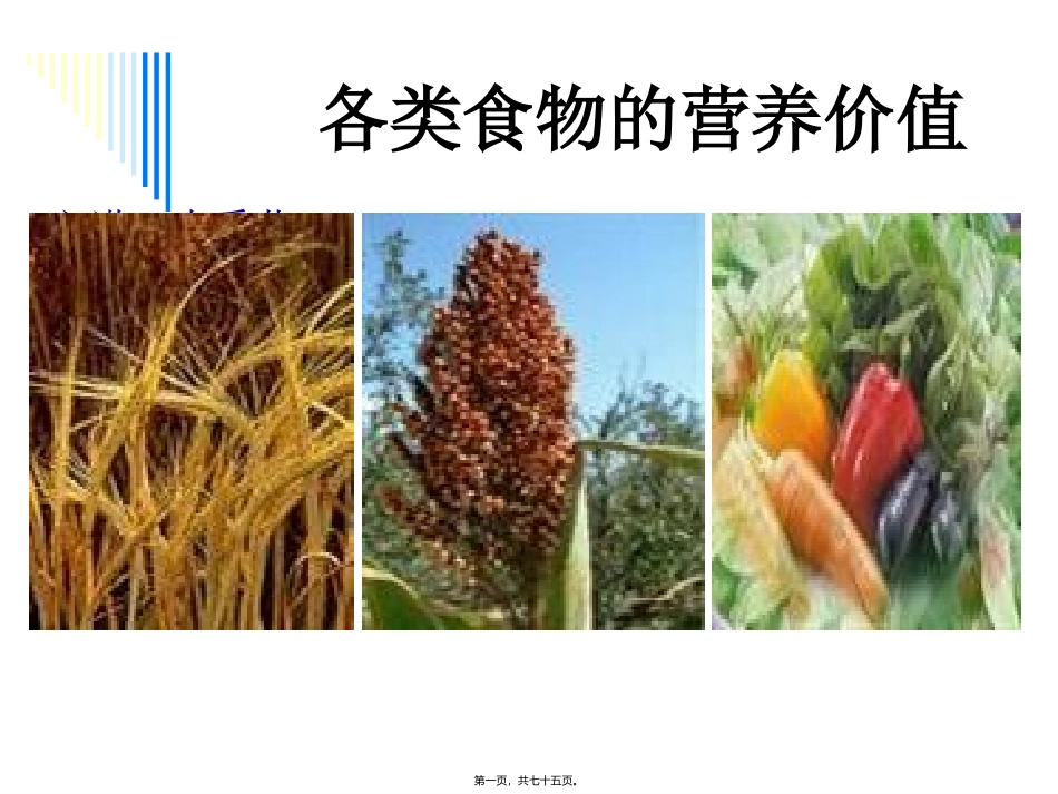 《营养师资料》各类食物的营养价教学课件_第1页