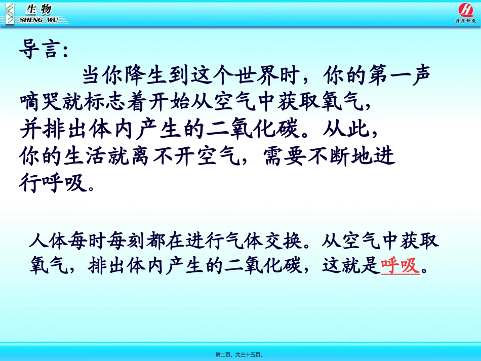 likun呼吸道对空气的处理(1)_第2页