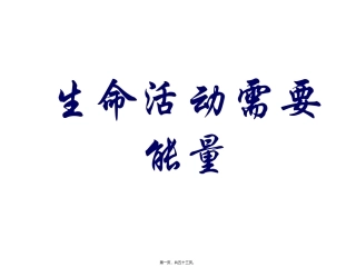 生命活动需要能量 培训课件