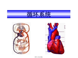 7.循环系统正常表现、基本病变及常见病
