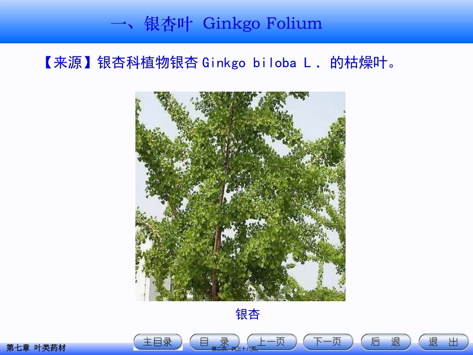 7.叶类药材详解_第2页