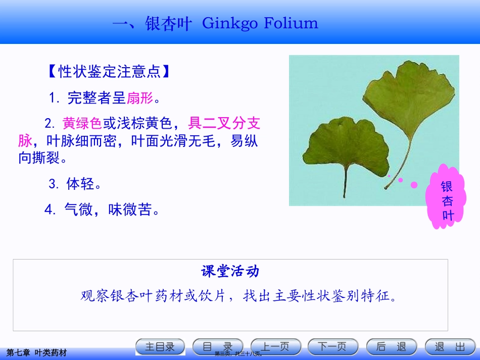 7.叶类药材详解_第3页