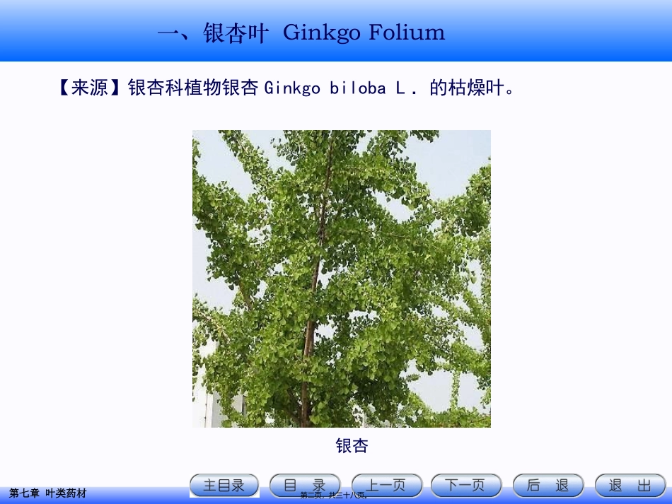 7.叶类药材资料_第2页