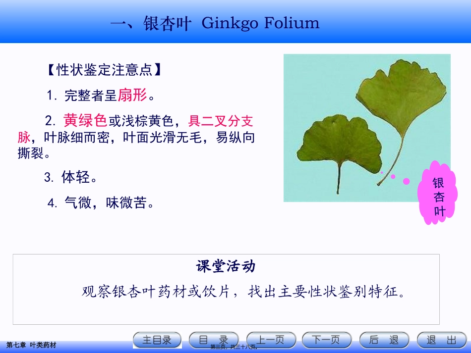 7.叶类药材资料_第3页