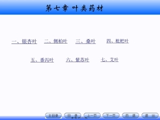 7.叶类药材资料