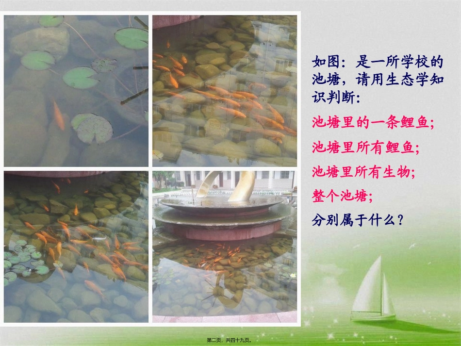 生态系统的营养结构 教学课件_第2页