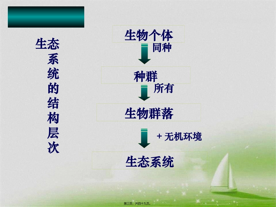 生态系统的营养结构 教学课件_第3页