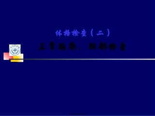 lq--胸肺检查实习