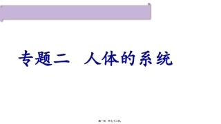 人体系统  医学教学课件