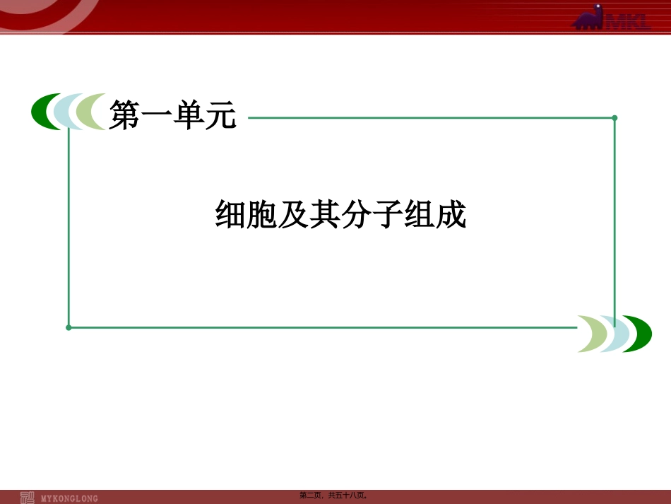 必修1-1-3生命活动的主要承担者——蛋白质资料_第2页