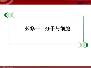 必修1-1-3生命活动的主要承担者——蛋白质资料