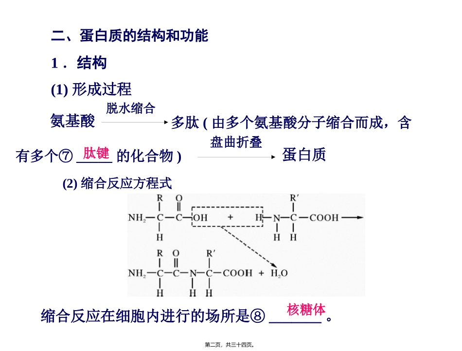 必修1-第2章-第2节-生命活动的主要承担者——蛋白质_第2页