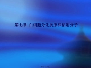 7-白细胞分化抗原1