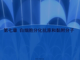 7-白细胞分化抗原和黏附分子