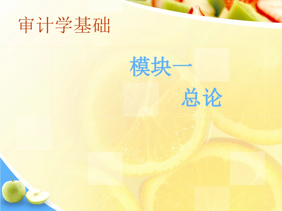 审计学课程基础总论教学课件_第1页