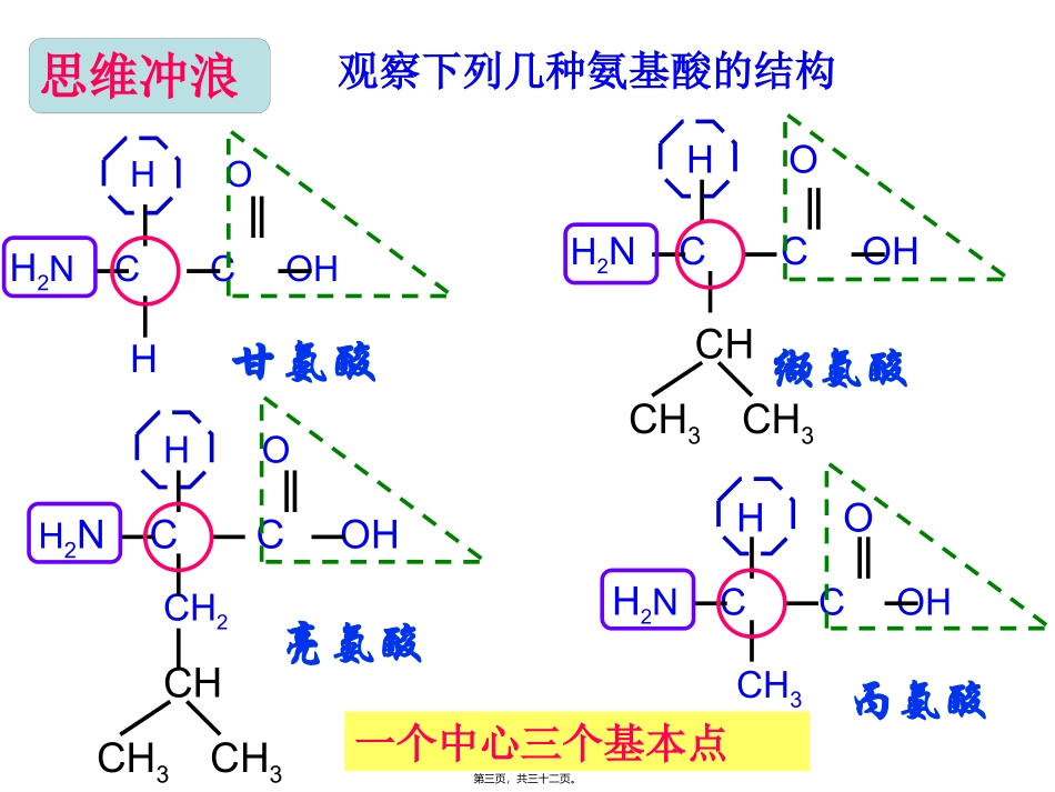 生命活动的主要承担者 教学课件_第3页