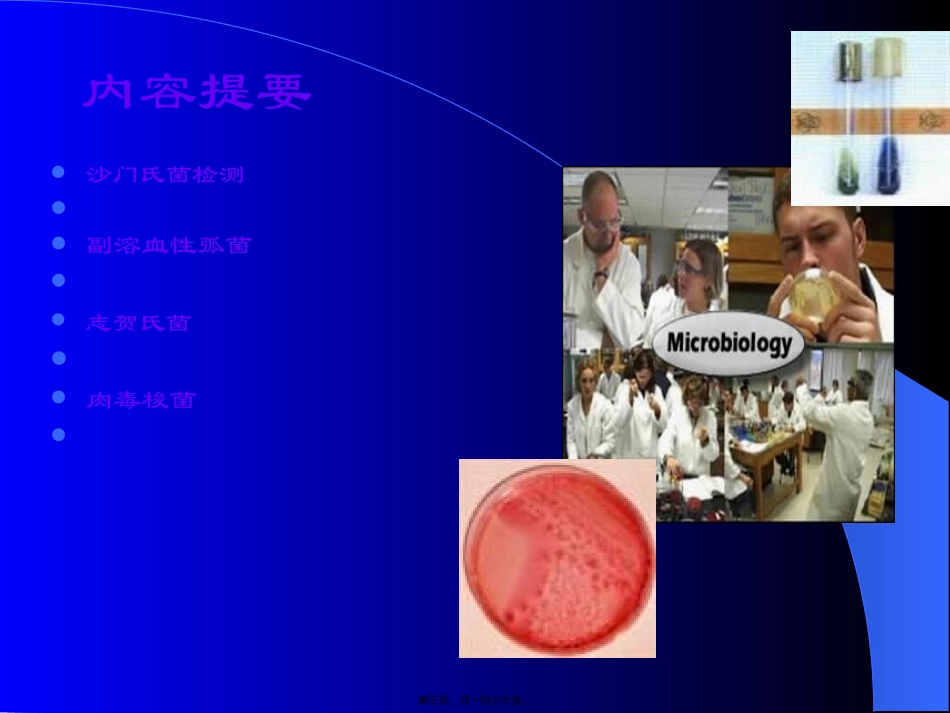 食物中毒性细菌及其检验教学课件_第3页