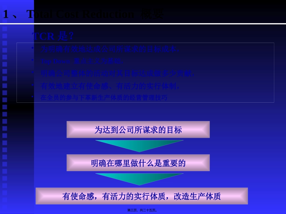 TCR推进活动_第3页
