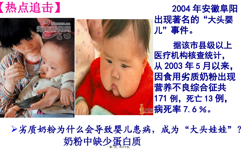 生命活动的主要承担者--蛋白质 教学课件_第1页