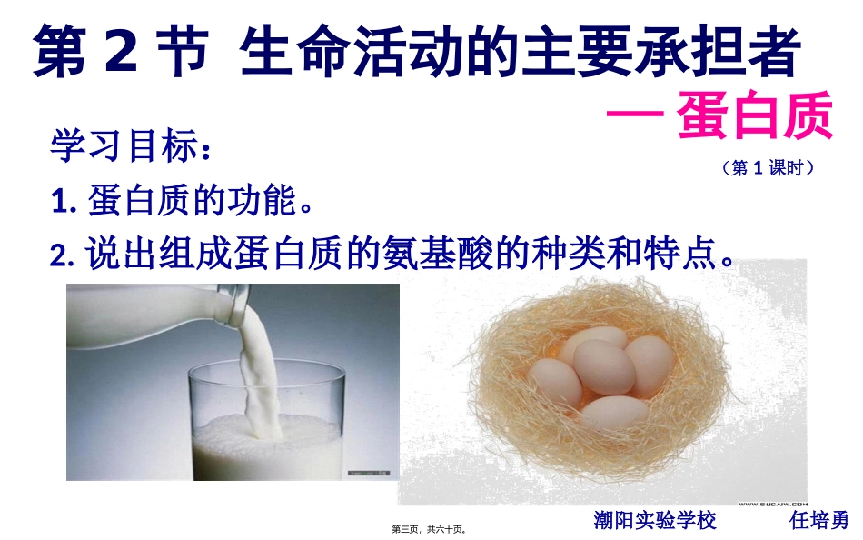 生命活动的主要承担者--蛋白质 教学课件_第3页
