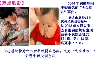 生命活动的主要承担者--蛋白质 教学课件