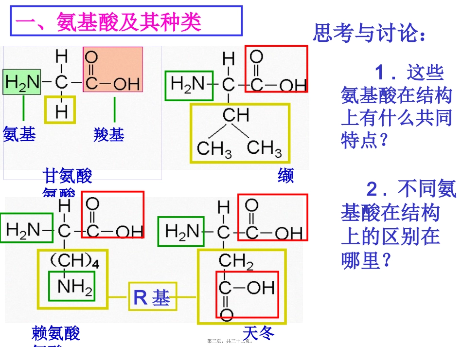 生命活动的主要承担者---蛋白质 教学课件_第3页
