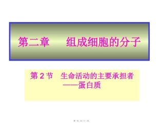 生命活动的主要承担者---蛋白质 教学课件