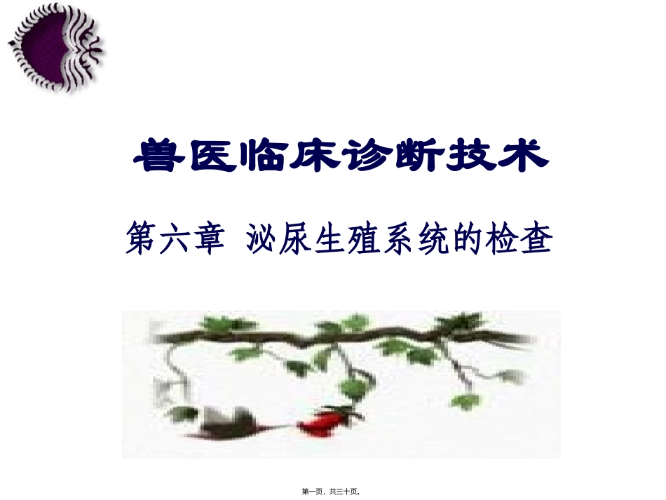兽医临床诊断技术课程第六章泌尿生殖系统的检查教程 医学教学课件_第1页