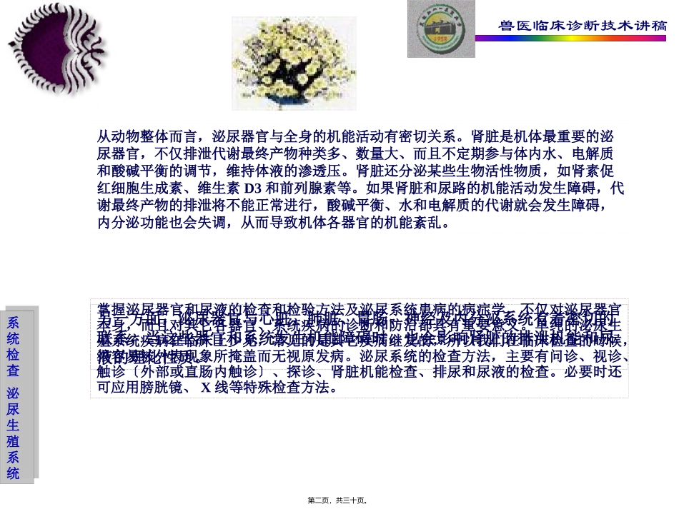 兽医临床诊断技术课程第六章泌尿生殖系统的检查教程 医学教学课件_第2页