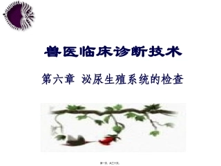 兽医临床诊断技术课程第六章泌尿生殖系统的检查教程 医学教学课件