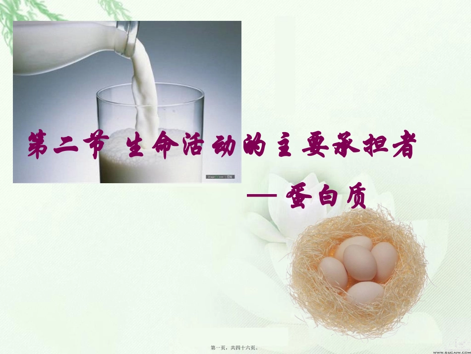 生命活动的主要承担者——蛋白质 教学课件_第1页