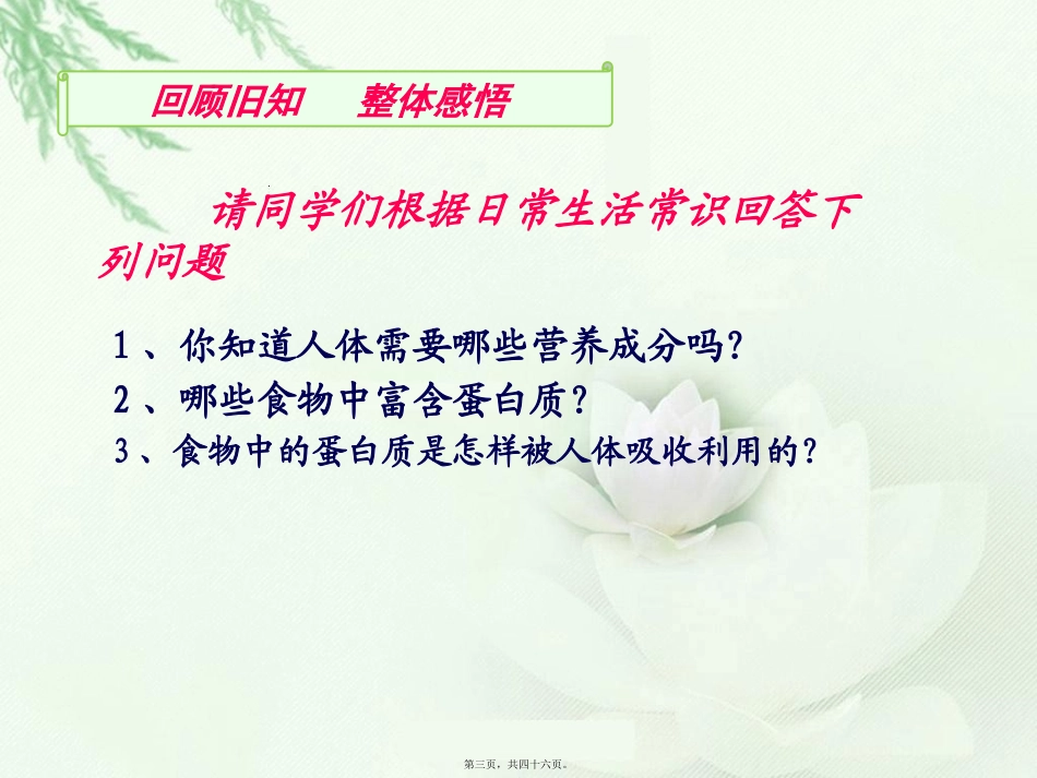 生命活动的主要承担者——蛋白质 教学课件_第3页