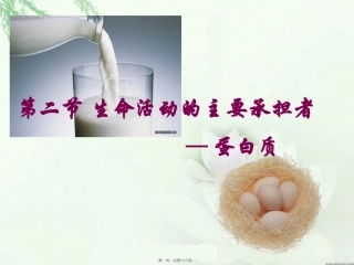 生命活动的主要承担者——蛋白质 教学课件