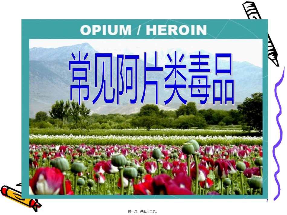 7-常见阿片类毒品_第1页