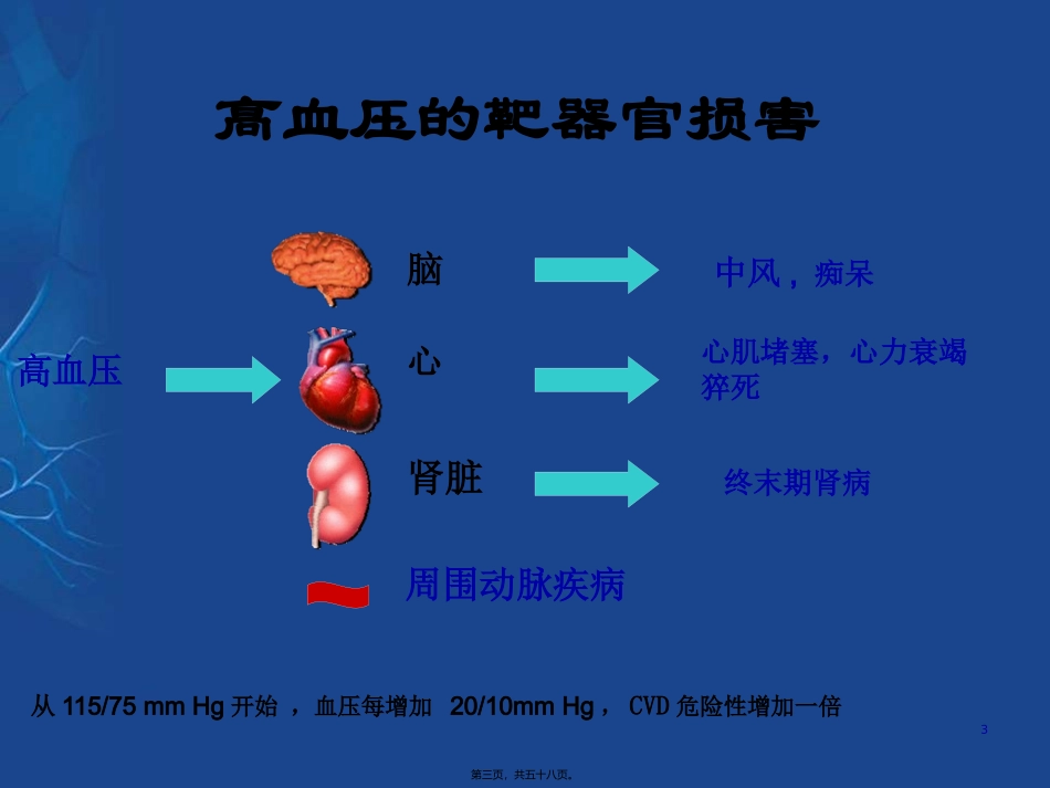 《中国高血压防治指南》解读 培训讲座课件_第3页