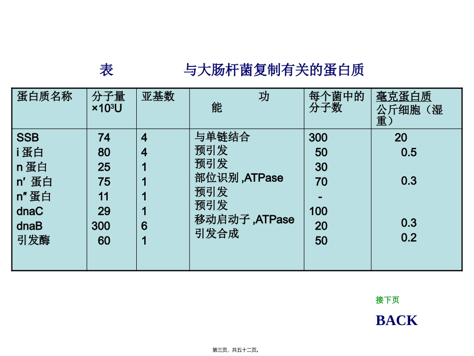 生物教学课件 参与DNA复制有关的酶和蛋白质_第3页