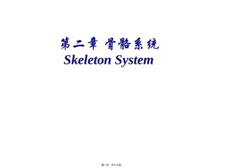四肢骨骼医学教学课件