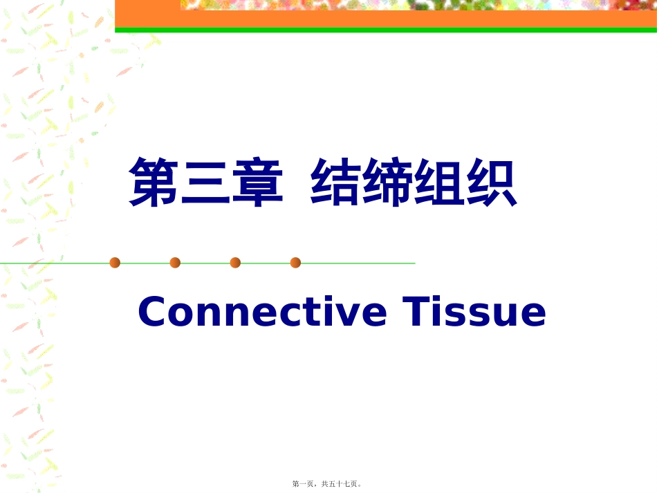 生物教学课件 结缔组织_第1页
