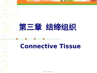 生物教学课件 结缔组织
