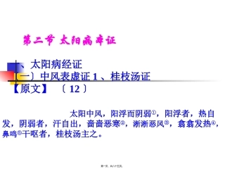 太阳本证(中西医班)演示文稿教程 课件