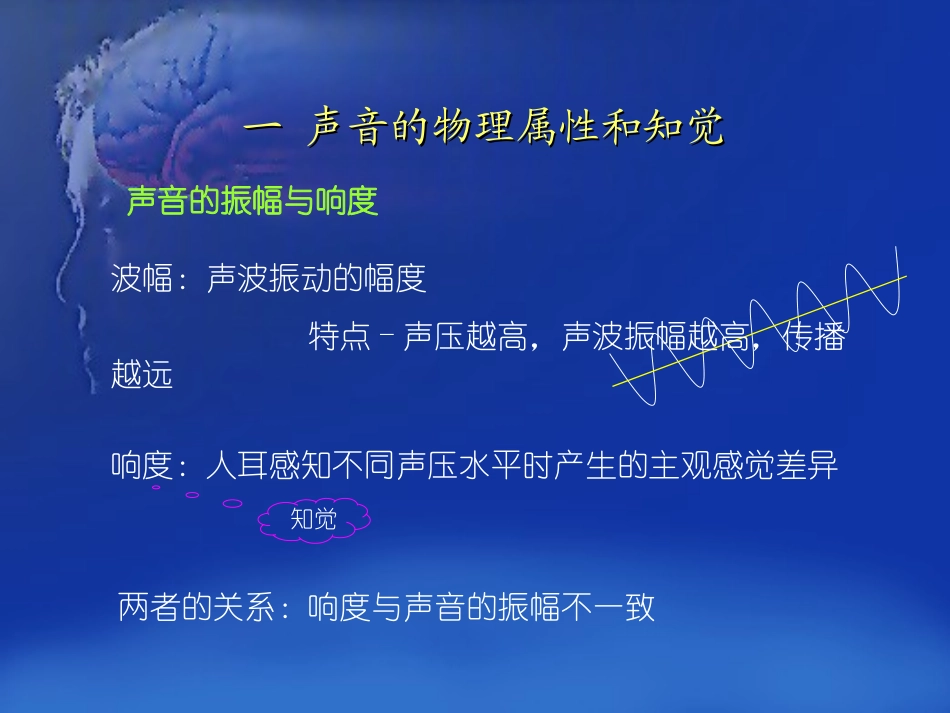 听觉生理心理学 讲座课件_第3页