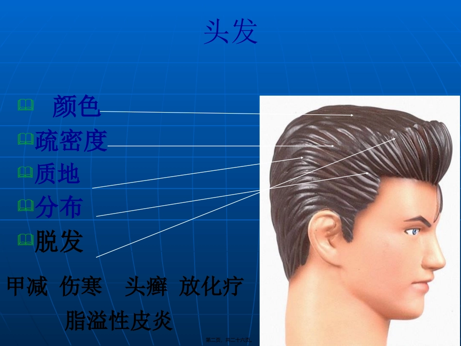 头颈部检查医学教学课件_第2页