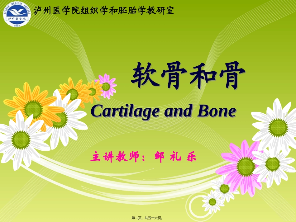 《组织胚胎学》-软骨和骨 医学培训课件_第2页