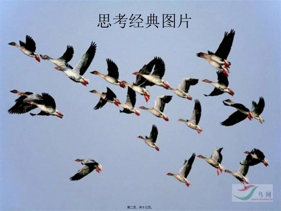 团队精神 培训讲座课件_第2页