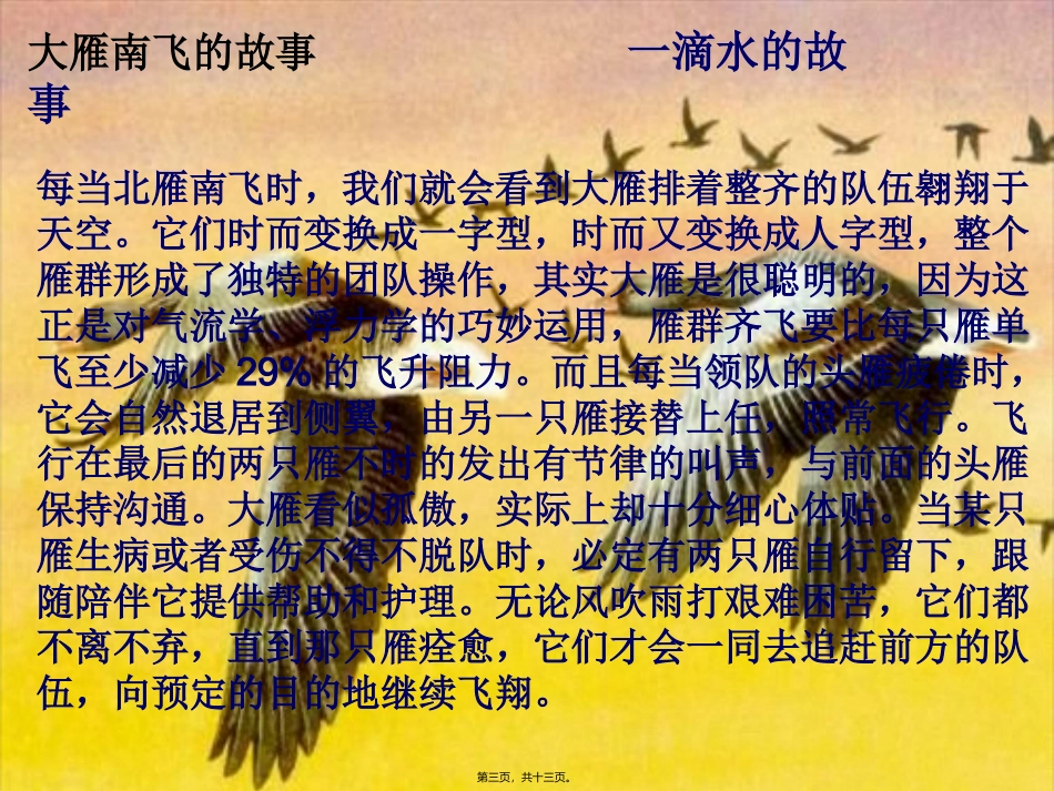 团队精神 培训讲座课件_第3页
