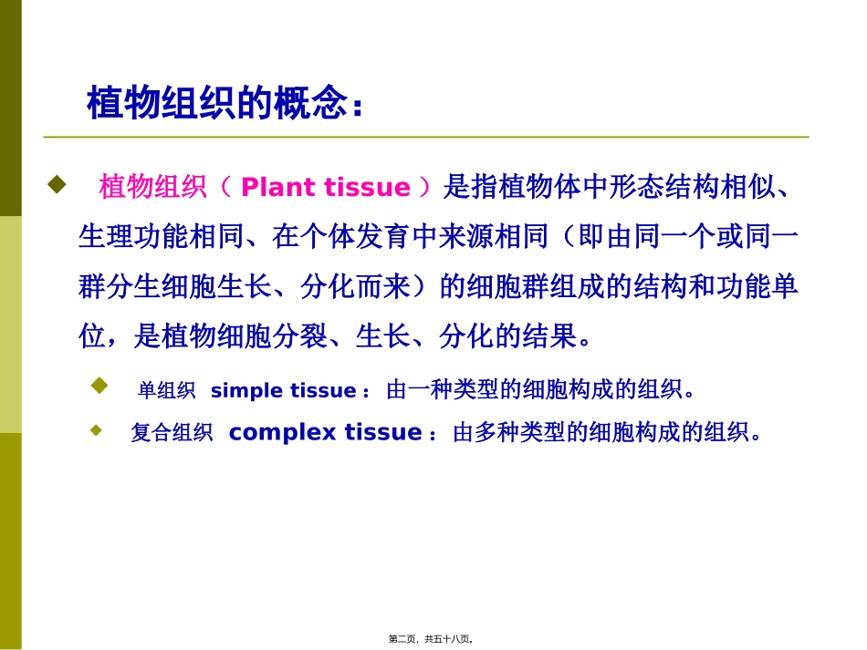 生物课程教学课件 第五章-植物的组织_第2页